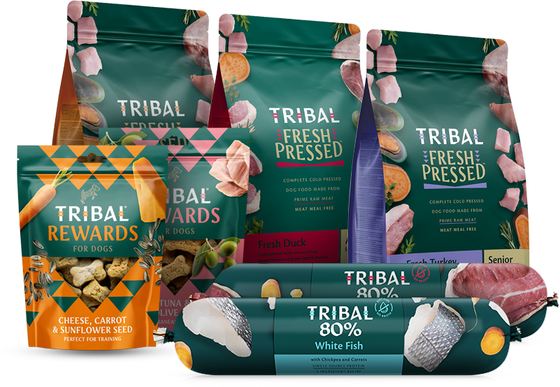 Tribal